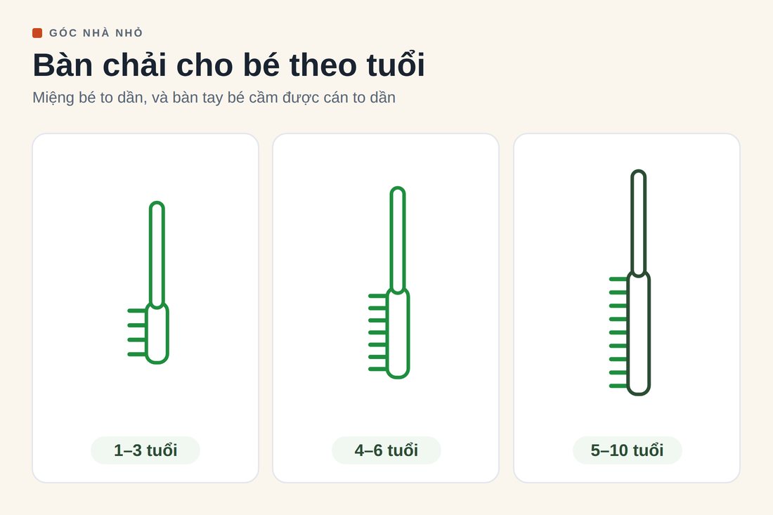 Hình vẽ ba chiếc bàn chải trẻ em to dần theo ba mốc tuổi 1-3, 4-6 và 5-10 tuổi